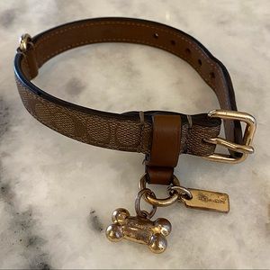 Precious COACH Dog Collar